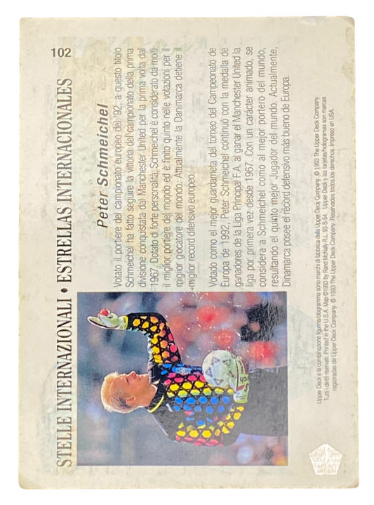 1994 World Cup USA Peter Schmeichel
