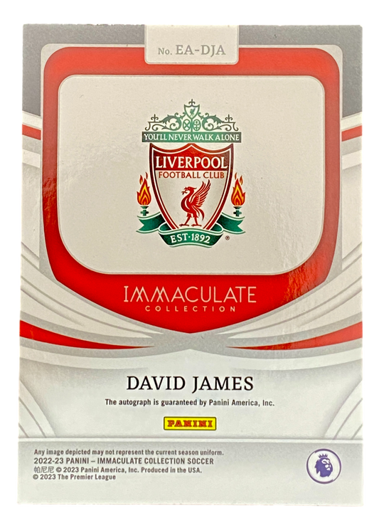 2022-23 Panini Immaculate David James auto 11/75
