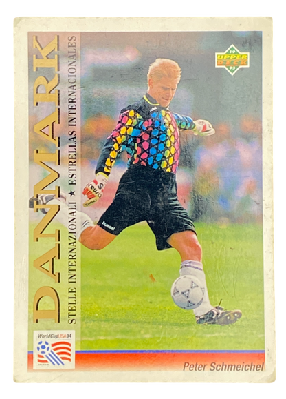 1994 World Cup USA Peter Schmeichel