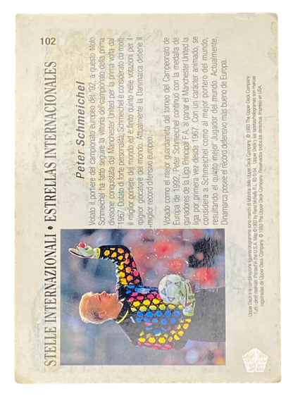 1994 World Cup USA Peter Schmeichel