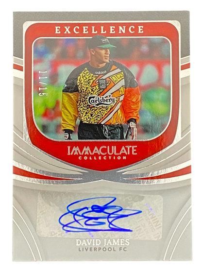 2022-23 Panini Immaculate David James auto 11/75