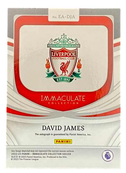 2022-23 Panini Immaculate David James auto 11/75